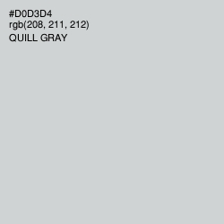 #D0D3D4 - Quill Gray Color Image